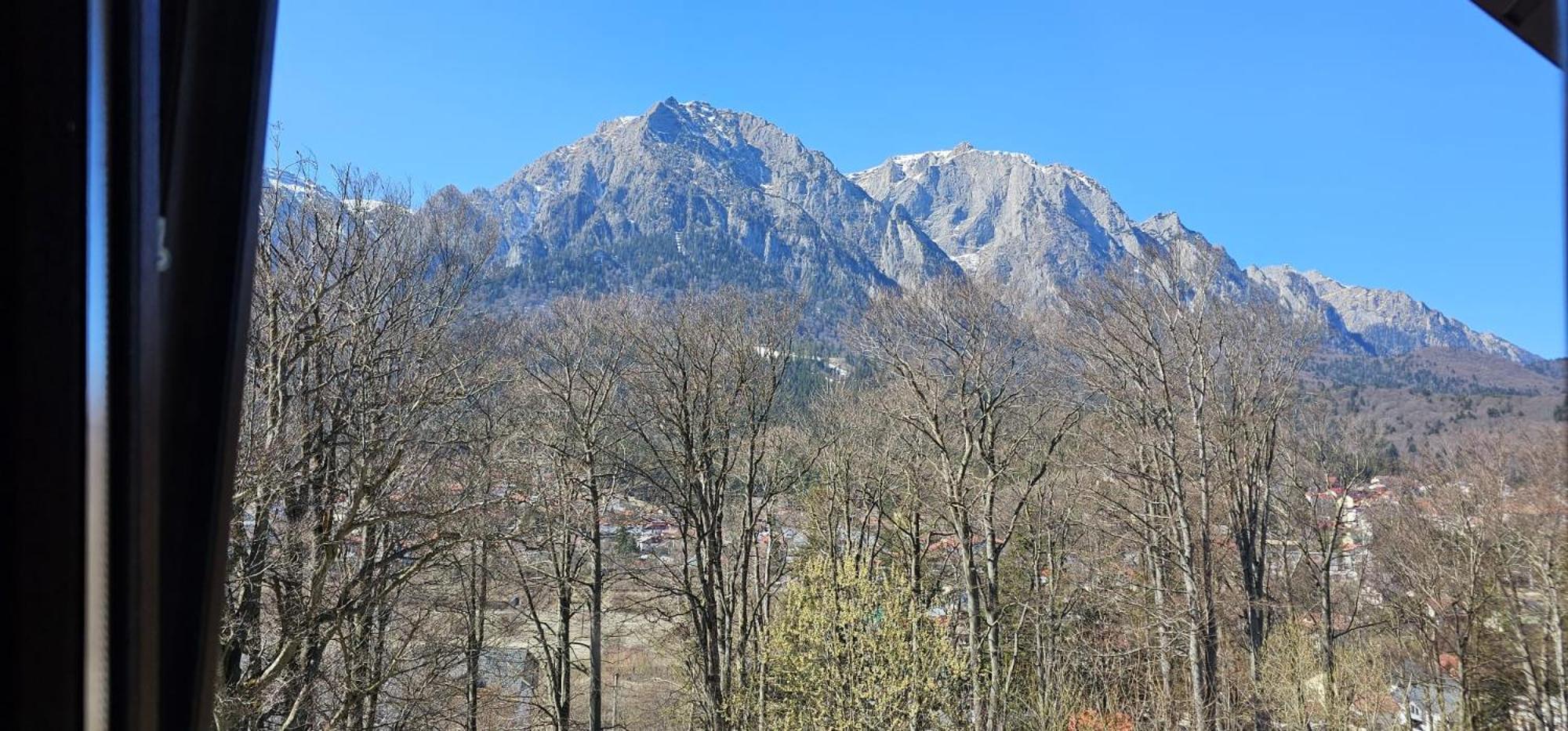 Pensiunea Clasic Busteni Bagian luar foto